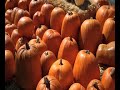 2009 Calabasas Pumpkin Festival