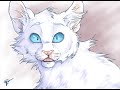 Cloudtail - You Can\