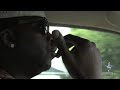 Day In The Life Of Tony Yayo ( G Unit ) - PART 2 (abt ) [ www.HIPHOPSTAN.com ] ... Day In The Life Of Tony Yayo Unit PART (abt www.HIPHOPSTAN.com 50 cent tony yayo lloyd banks dj whoo kid sha money XL gunit g-unit young buck mobb deep havoc prodigy nyce da future NBK shake em down 40 glocc gail gotti tip toe zoolife colton village boo spider loc 97 murda mase ma$e mike knox ive vegas cotich philly freeway mazaradi fox dumout lil scrappy new york southside jamaica queens NYqueens bridge west ...
