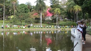 VÍDEO: Abraço simbólico no Parque Municipal alerta população sobre exploração de crianças e adolescentes