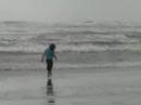 wave dancer