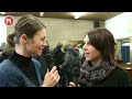 Unterrichtsstunde mit Luxuslärm am Otto-Hahn-Gymnasium Herne
