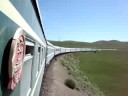mongolian