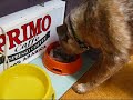 Charlie Daniels - How Fast Can I Eat - 16 June 2008
