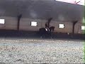 Training Delilah