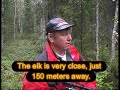 Elkhunting in Swedish Lapland