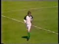 Linfield 0 Glentoran 1 Irish Cup Final Replay 1985