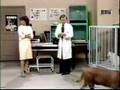 BIZARRE: Veterinarian Sketch Part 1