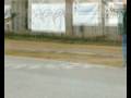 pardo