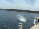 Yowie Bay Boat Shed