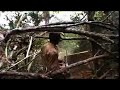 Cambodia: ILLEGAL LOGGING BY CAMBODIA's ELITE (1of4) [EN&KH]