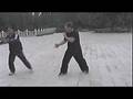 videos de Wu-Xing Bagua Zhang pt4