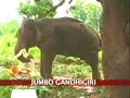 Jumbo Gandhigiri in Andhra Jumbo Gandhigiri in Andhra