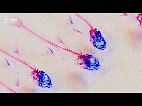 Fishing for new life