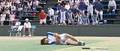 the prince of tennis