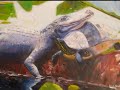 How to Become a Florida Master Naturalist