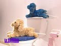 voici une parodie de pub r�alis�e par l'�quipe du soiring de tps star