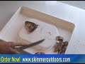 Bait Cutting Board