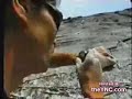 Escalada animal..