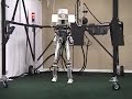 Dexter 3.3 Walking Robot