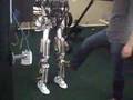 Dexter 3.3 Walking Robot