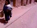 vsvs  vdfg