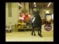 Salon du cheval ( Era - The Mass )