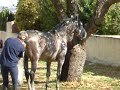 Feria del Caballo de Piedrahita 2006