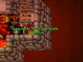 Tibia DHQ - Solo Tibia DHQ - Solo