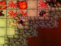 Tibia DHQ - Solo