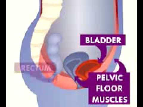 how to control overactive bladder