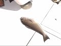 Deepwater Bottom Fishing-Oregon Inlet NC