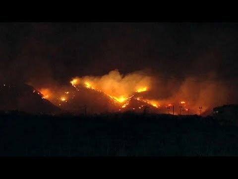 Mallorca: Waldbrand zerstört mehr als 75 Hektar Land
