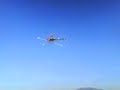 VOLANDO BELT CP + HONEY BEE KING EN TOTANA