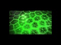 Ancient Knowledge, Fibonacci Sequence, Golden Ratio, Phi in Nature, DNA, Fingerprint of God Pt.2