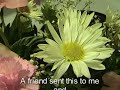 Thank you for being my friend!