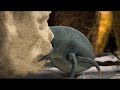 Der Stop-Trick-Animationsfilm führt uns in den mikroskopischen Lebensraum von Milbert, der Hausstaubmilbe. Auf einem seiner täglichen Ausflüge entdeckt er eine für ihn neue Welt. Diese birgt neben allen Vorzügen aber auch einige Widrigkeiten in sich, denen er tapfer trotzt - bis er schliesslich eine Begegnung der überirdischen Art hat...Für optimale Qualität empfehlen wir die HD- oder Large-Variante auf www.stichprobe-derfilm.deEnstanden ist der Clip in den Studioproduktionen Interaktive Medien und Computeranimation im Sommersemester 2008 an der Hochschule der Medien (HdM) Stuttgart.Eine Homage an Minuscule von unseren französischen Freunden!Team:Gregor Baumert, Luiza Kurc Botelho, Benjamin Burr, Sebastian Elsner, Julia Hofmann, Cordula Landt, Lionel Maccaud, Marcel Morschhauser, Jan Oberhauser, Annette Selcho, Florian Stanger, Johannes Wolf
