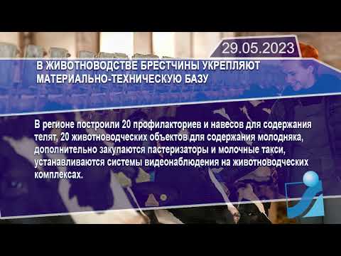 Новостная лента Телеканала Интекс 29.05.23.