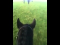 Days hunting pentrych hunt