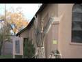 Election Day in Cerrillos