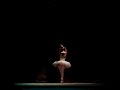 morte do cisne