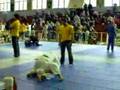 Tom Surowiec in his first fight