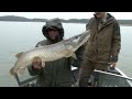 Film zrealizowany we współpracy firm: Salmo, Dragon, Wiadomości Wędkarskie oraz Eventur Fishing, przedstawiający techniki połowów drapieżników na twarde i miękkie przynęty.Film będzie dodatkiem do kolejnego wydania 