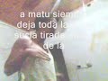 Carpincho Mamá Carpincho Mamá