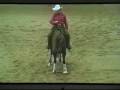 Saratoga Whiz and Petra Borg Nrha Non Pro reining Saratoga Whiz and Petra Borg Nrha Non Pro reining