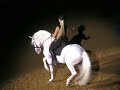 Apassionata: Andalusian Stallion Finale