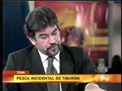 Entrevista a Gabriela Cruz, ...
