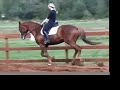 Wissaker