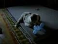 Muffin Mit Ballonfigur