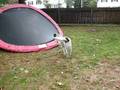 Monty VS Trampoline